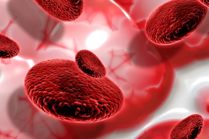 The Role of Haematology and BMT in Blood Cancer Treatment